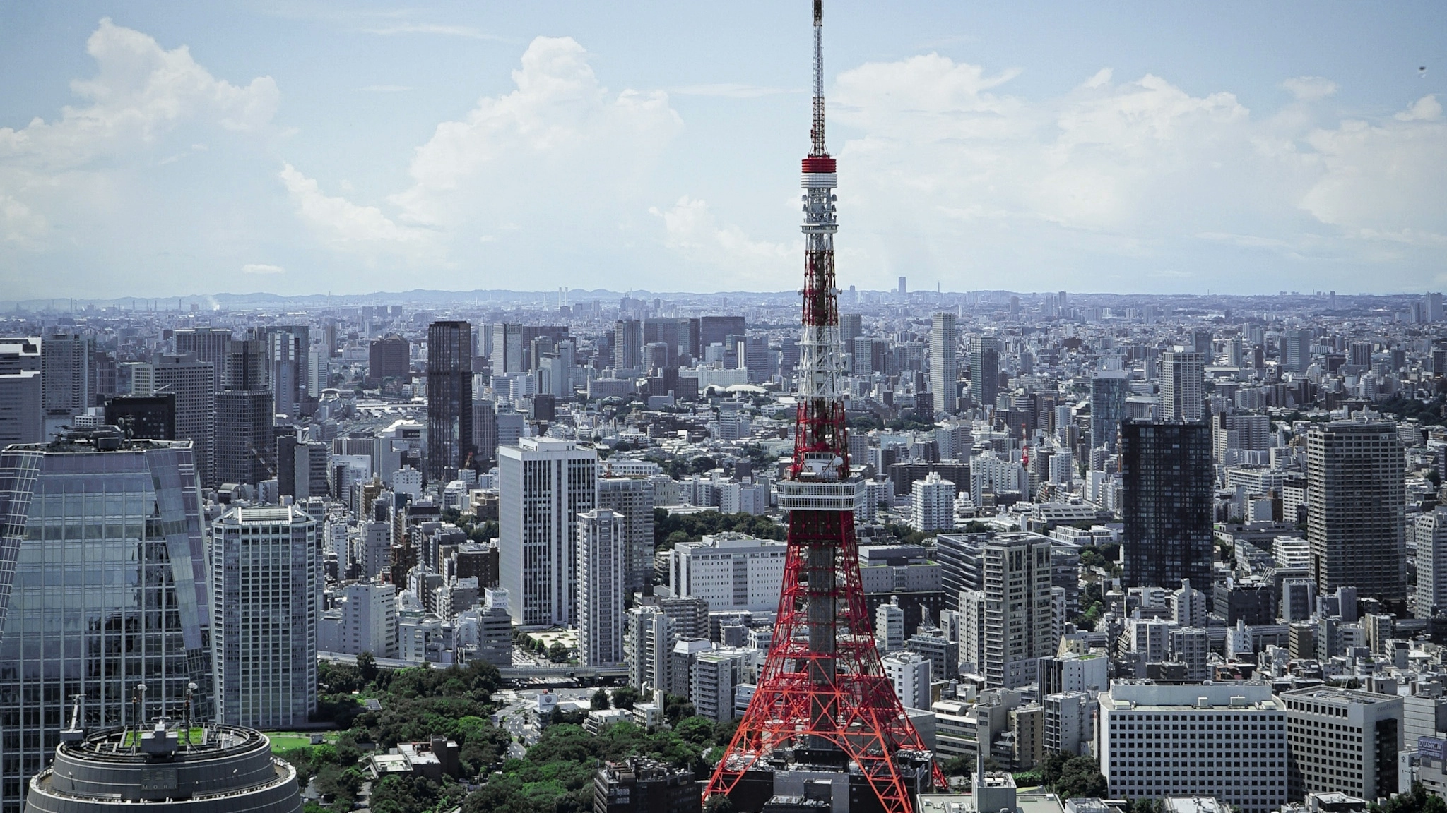 Tokyo Tower rises from the concrete jungle of the city